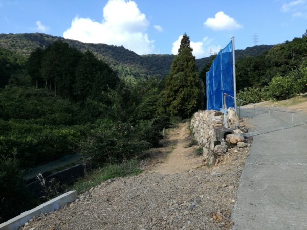 画像45